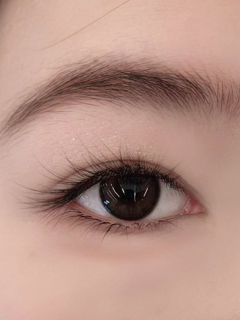 自然空气感美睫与野生眉眼部特写 – Noveau Beauty